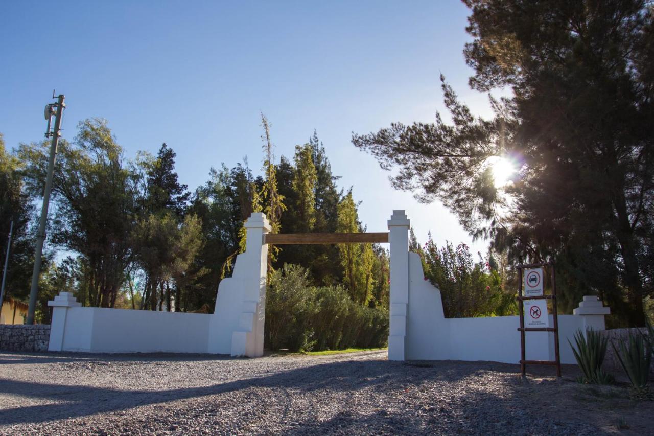 Cabanas La Huayca - Caja Los Andes Pica Eksteriør bilde