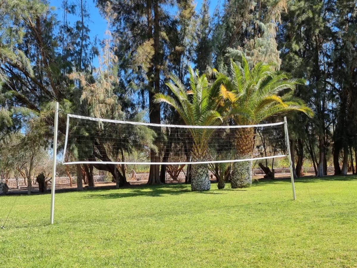 Cabanas La Huayca - Caja Los Andes Pica Eksteriør bilde